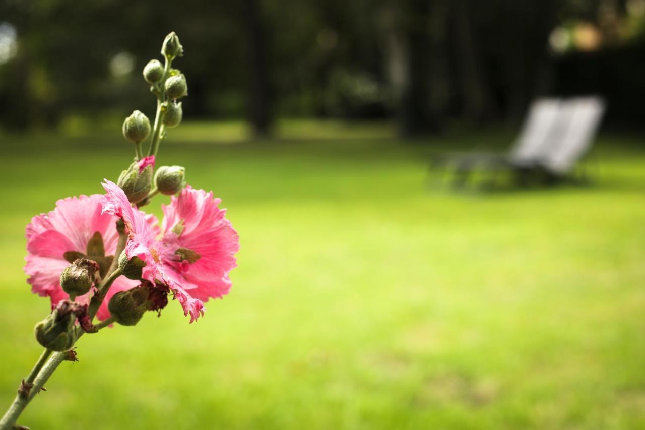 La Belle Monsoise Bed and Breakfast Εξωτερικό φωτογραφία