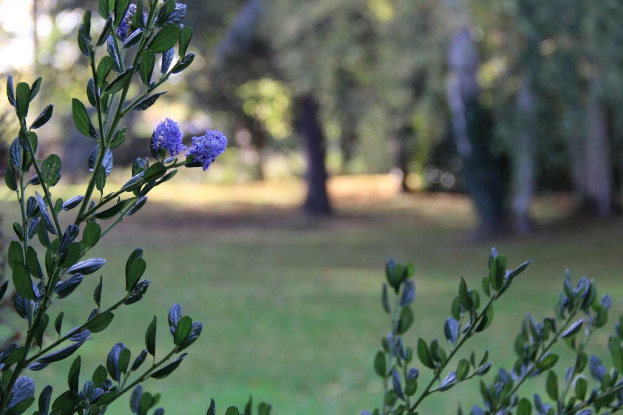 La Belle Monsoise Bed and Breakfast Εξωτερικό φωτογραφία